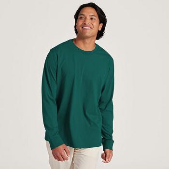 Allbirds Allgood Baumwoll Long Sleeve T shirts Herren Türkis | ATJZR54080