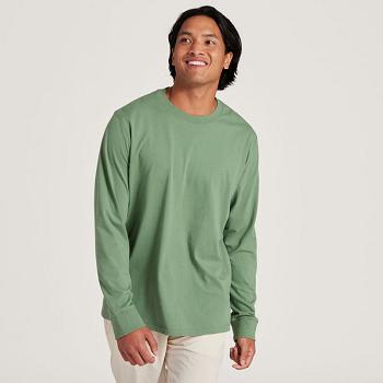 Allbirds Allgood Baumwoll Long Sleeve T shirts Herren Grün | ATZDE81137