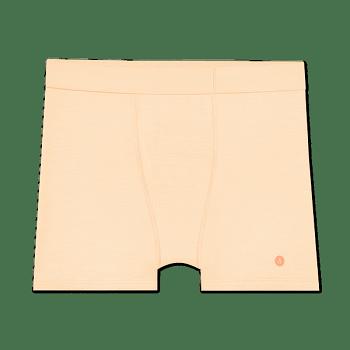 Allbirds Trino® Boxer Brief Unterwäsche Herren Beige | EATHC62261