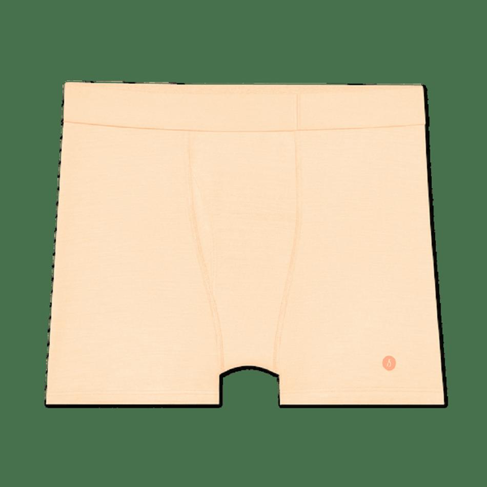 Allbirds Trino® Boxer Brief Unterwäsche Herren Beige | EATHC62261